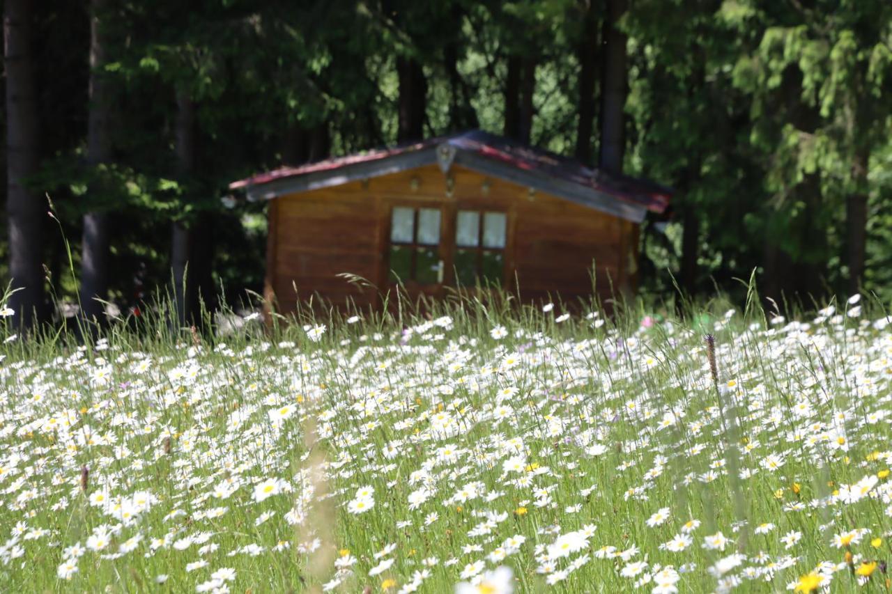 Am Nationalpark Bayerwald