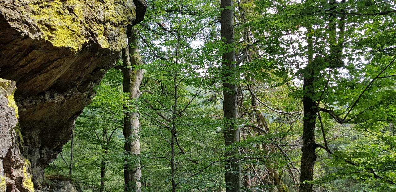 Am Nationalpark Bayerwald * Lindberg