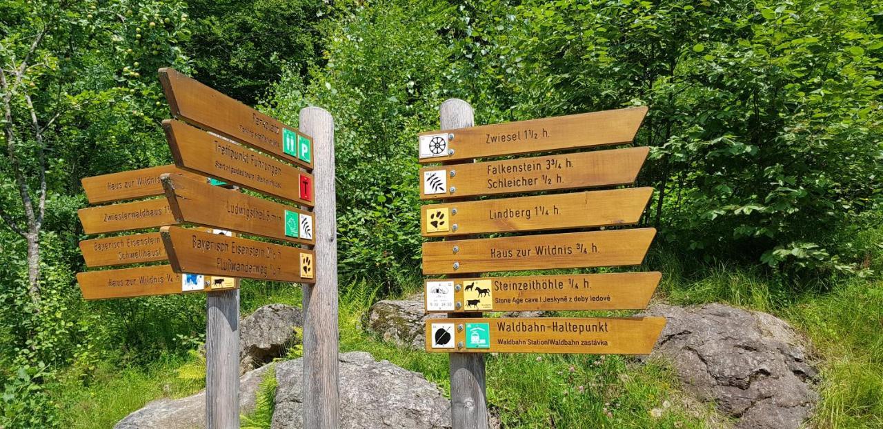 Am Nationalpark Bayerwald * Lindberg